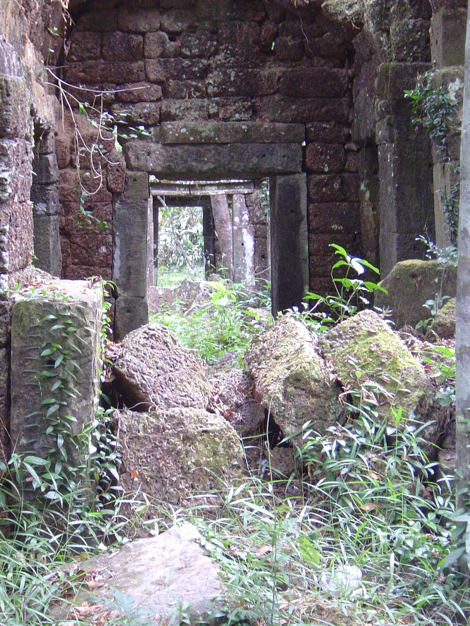 DSC00868.jpg